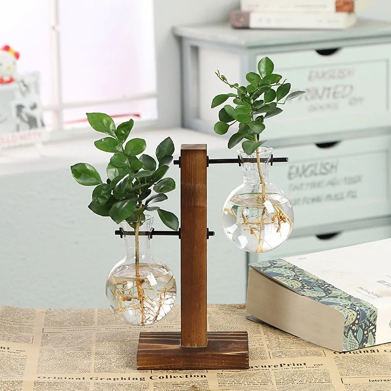 Hydroponic Flower Pots | Wood & Glass