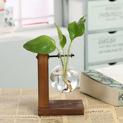 Hydroponic Flower Pots | Wood & Glass