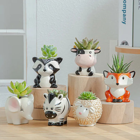 Plantepotter for dyr | Keramikk